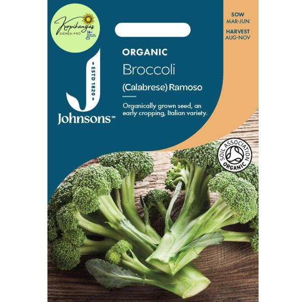 Broccoli Eko